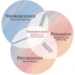 educational neuroscience