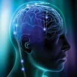 mind brain