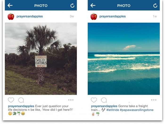 Insta Gators