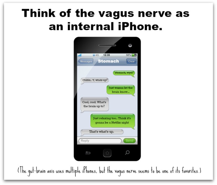 VN iPhone