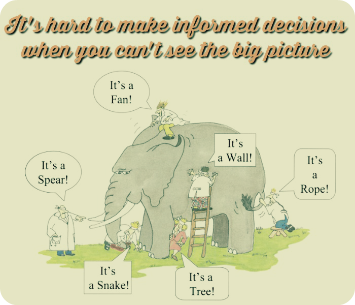 Informed Decisions Cant See