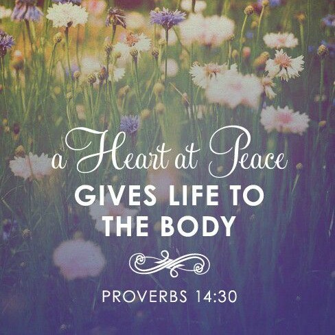 A heart at peace gives life to the body